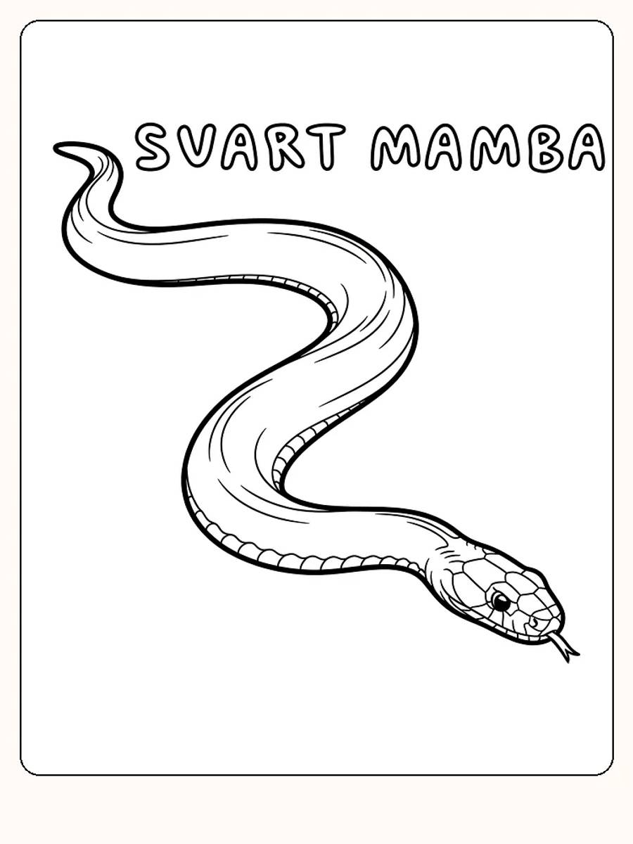 Tegning af en sort mambaslange med teksten 'SORT MAMBA' over, klar til farvelægning
