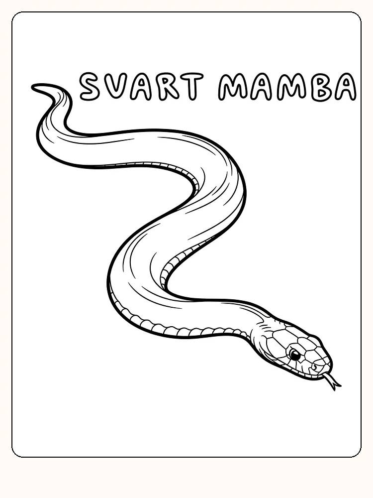 Tegning af en sort mambaslange med teksten 'SORT MAMBA' over, klar til farvelægning