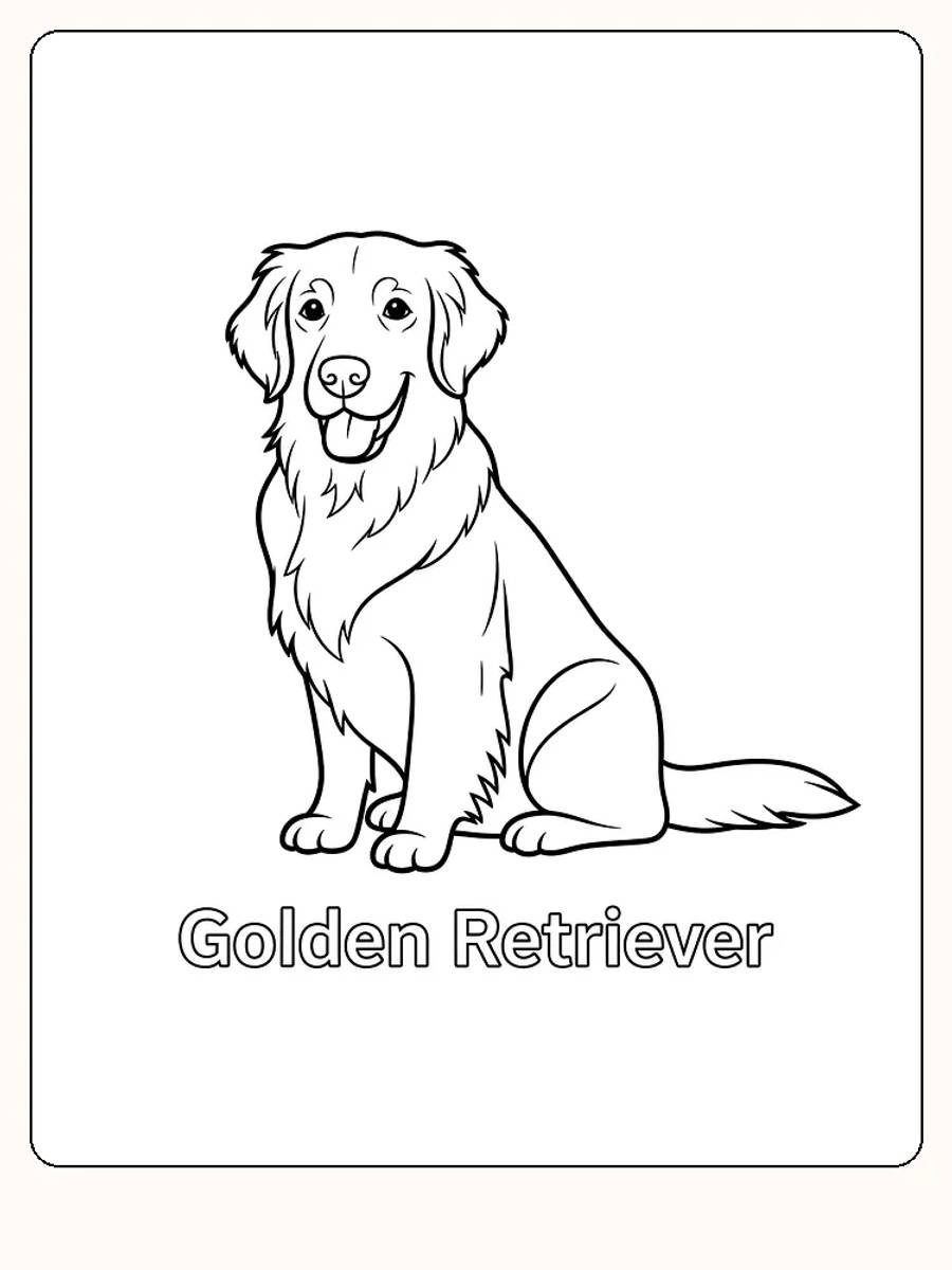 Fargeleggingsbilde av en Golden Retriever som sitter, klar for utskrift