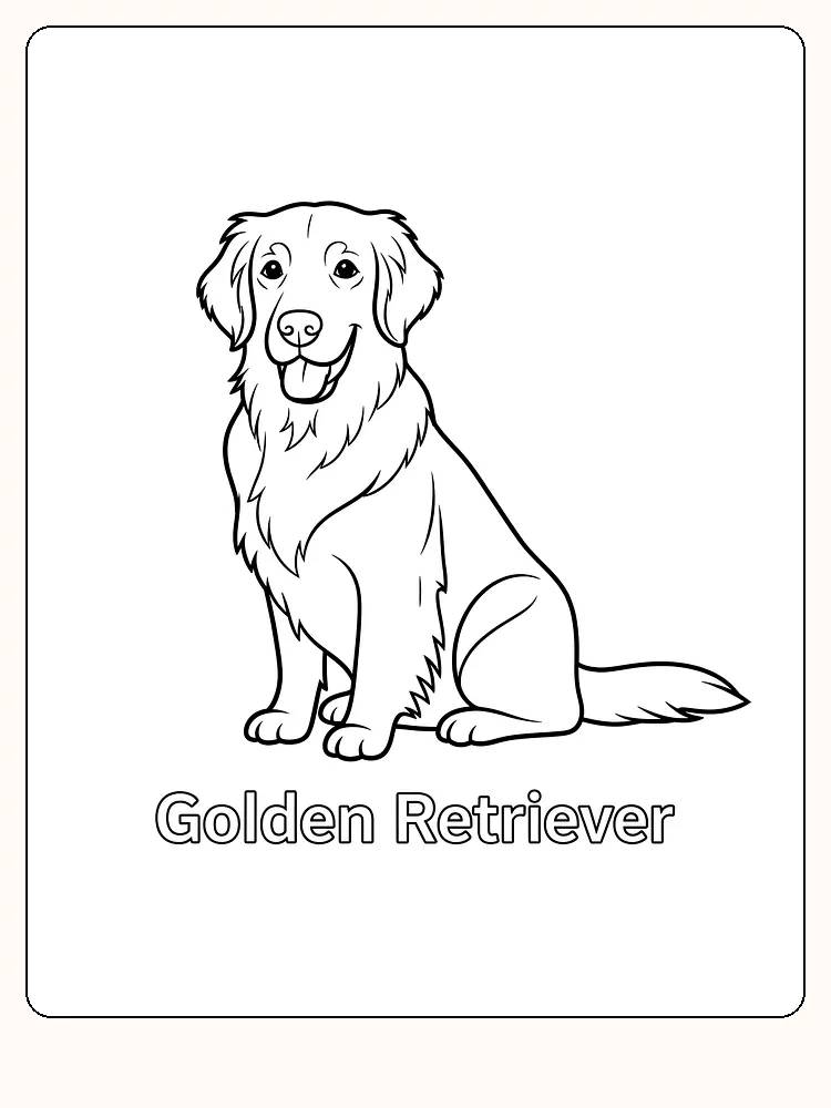 Fargeleggingsbilde av en Golden Retriever som sitter, klar for utskrift
