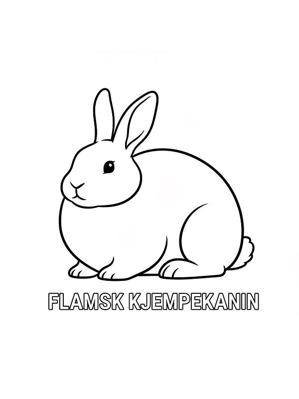 Flamsk kjempekanin