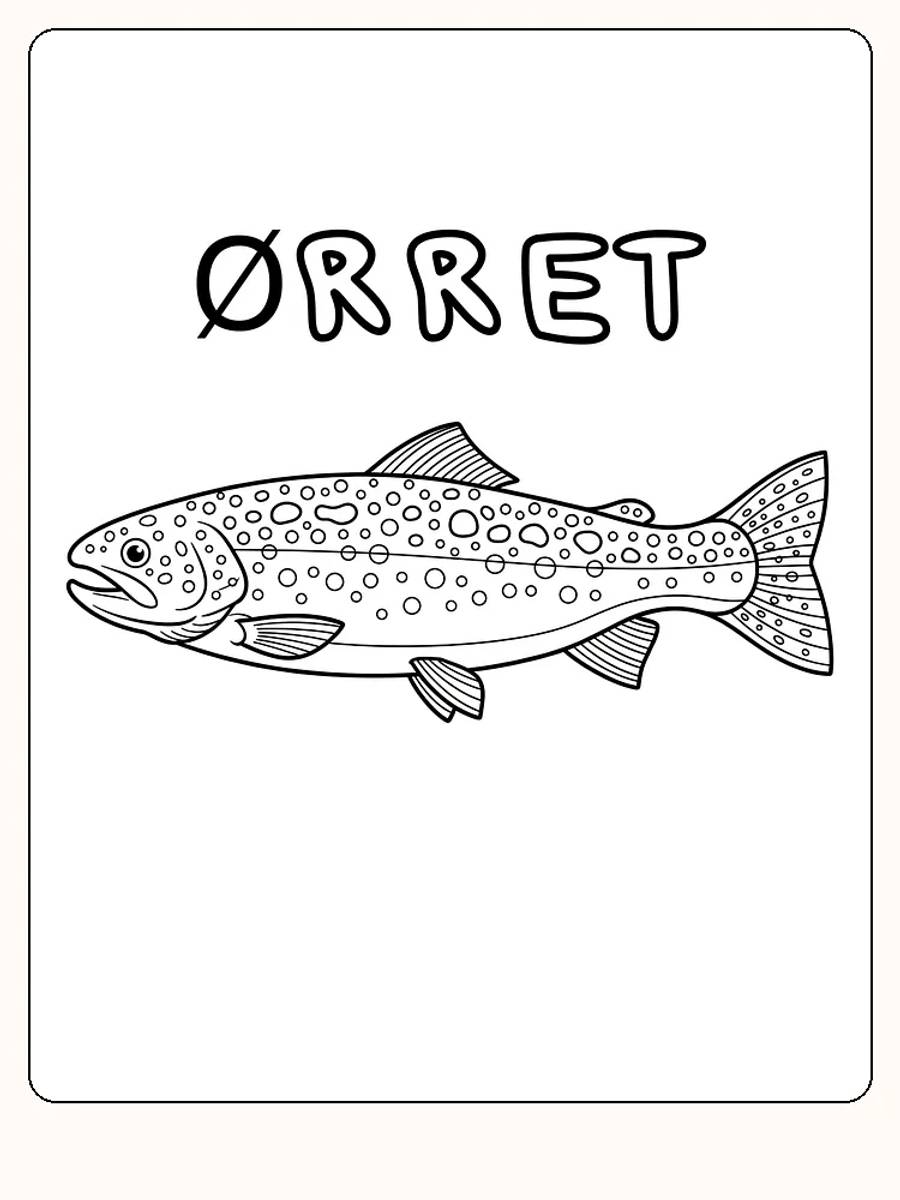 Fargeleggingstegning av en ørret, klar for utskrift