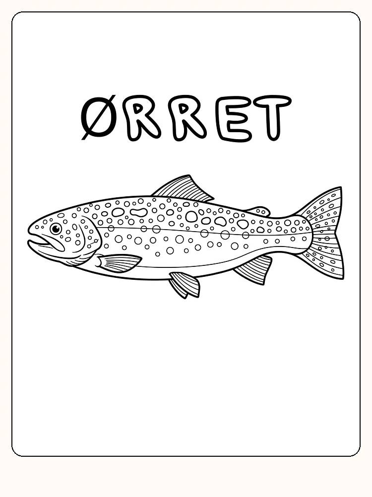 Fargeleggingstegning av en ørret, klar for utskrift