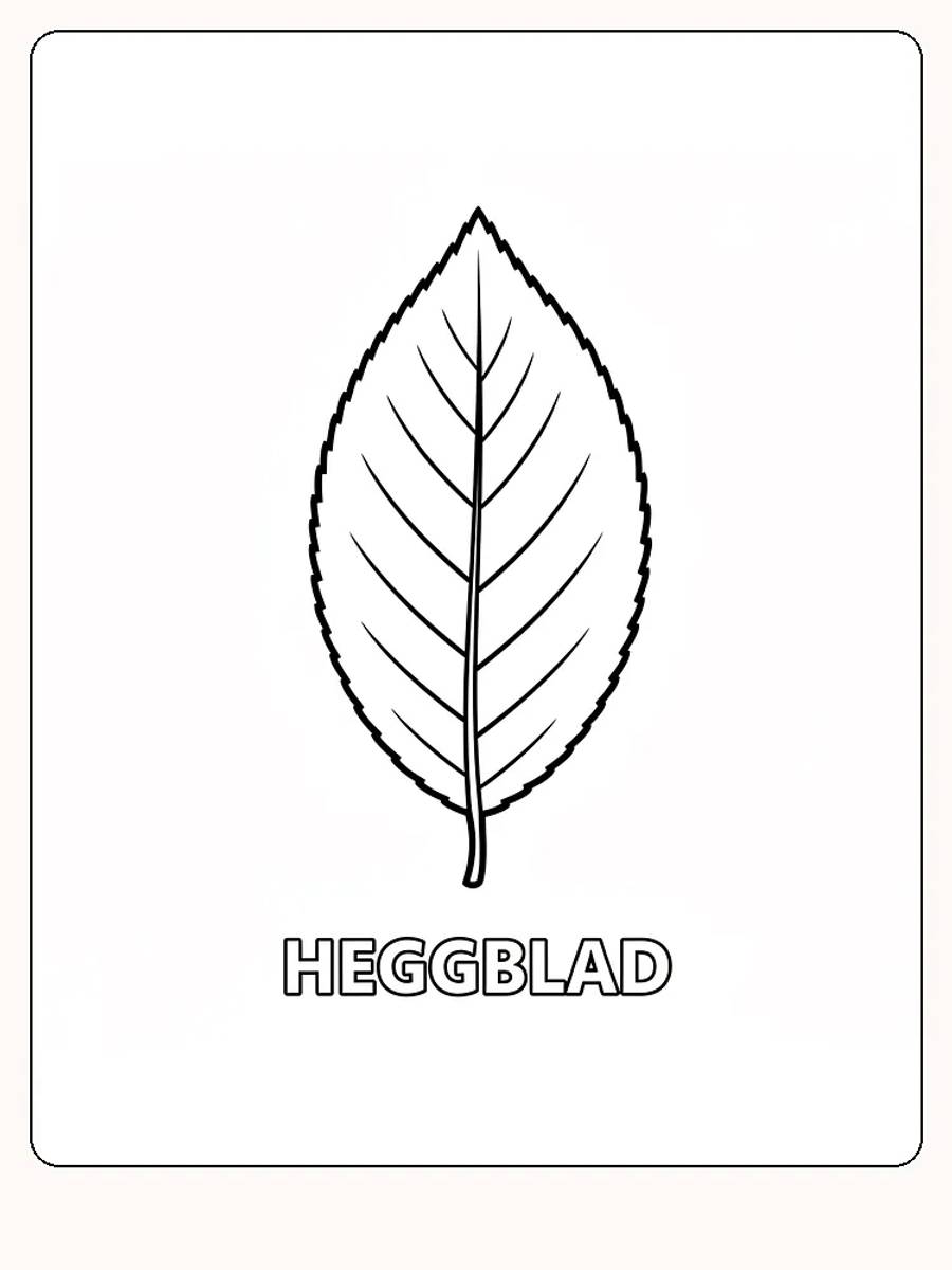 Fargeleggingstegning av et heggblad, klar for utskrift og kreativ utfoldelse
