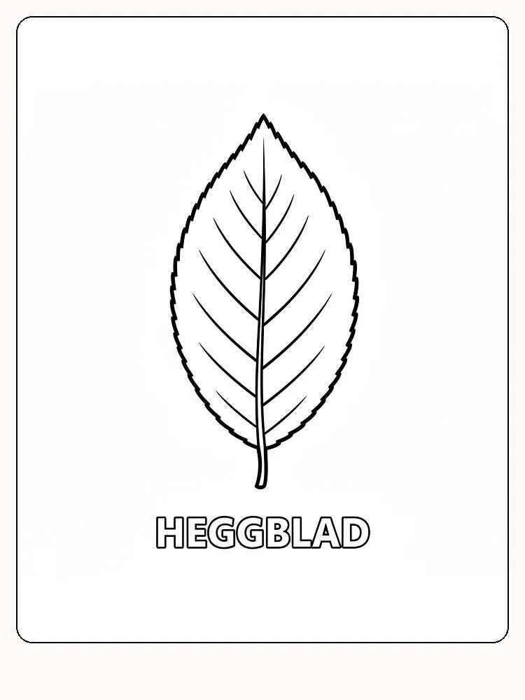 Fargeleggingstegning av et heggblad, klar for utskrift og kreativ utfoldelse