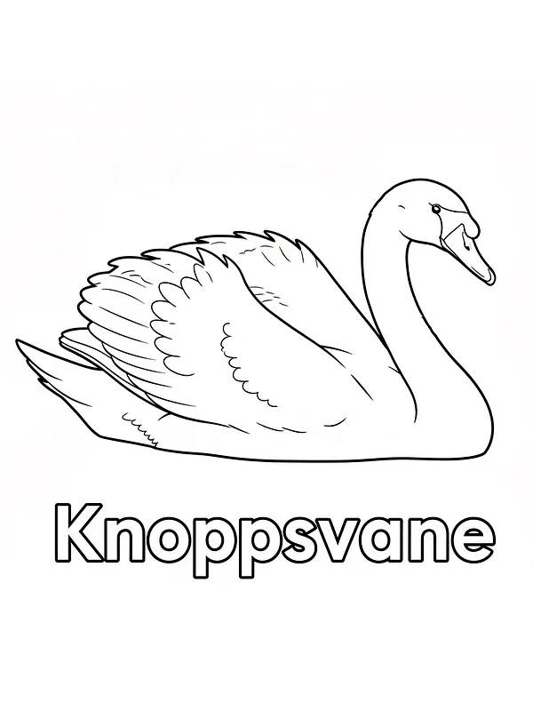 Knoppsvane for fargelegging, underkategori