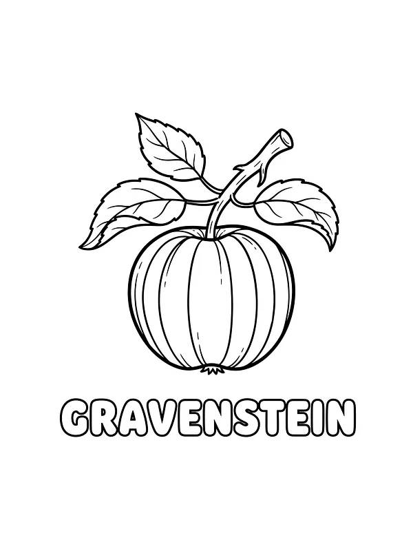Gravensteiner-æble med blade