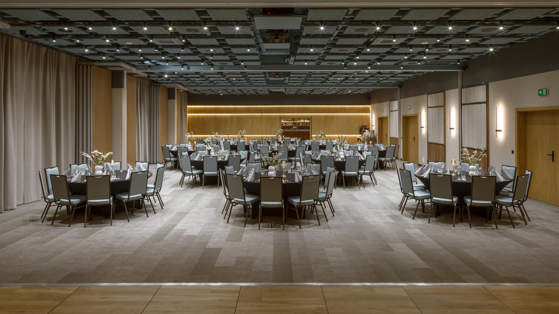 Duża sala konferencyjna w hotelu eventowym – profesjonalna przestrzeń na kongresy i szkolenia.