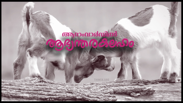 പാലക്കാട്ടെ മഹിളാമോർച്ചയും പന്തംകൊളുത്തി പടയും : ബിജെപി സ്ഥാനാർത്ഥിക്കെതിരായ രഹസ്യരേഖകൾ പുറത്തുവിടാൻ യുഡിഎഫ് : തിരൂർക്കാരന്റെ കത്തുകളും ലിവിങ് ടുഗദർ വിവാദവും : മുട്ടനാടുകളെ തമ്മിലടിപ്പിച്ചു രക്തം കുടിക്കുന്ന എൽഡിഎഫ് മൗനം : അണിയറയിലെ അവിശുദ്ധ ഡീലുകൾ തെരുവിലേക്ക് !!