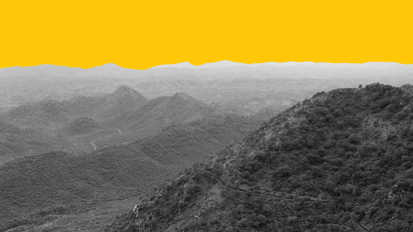 അരവല്ലി മലനിരകളിലെ മഹാ കള്ളക്കളി