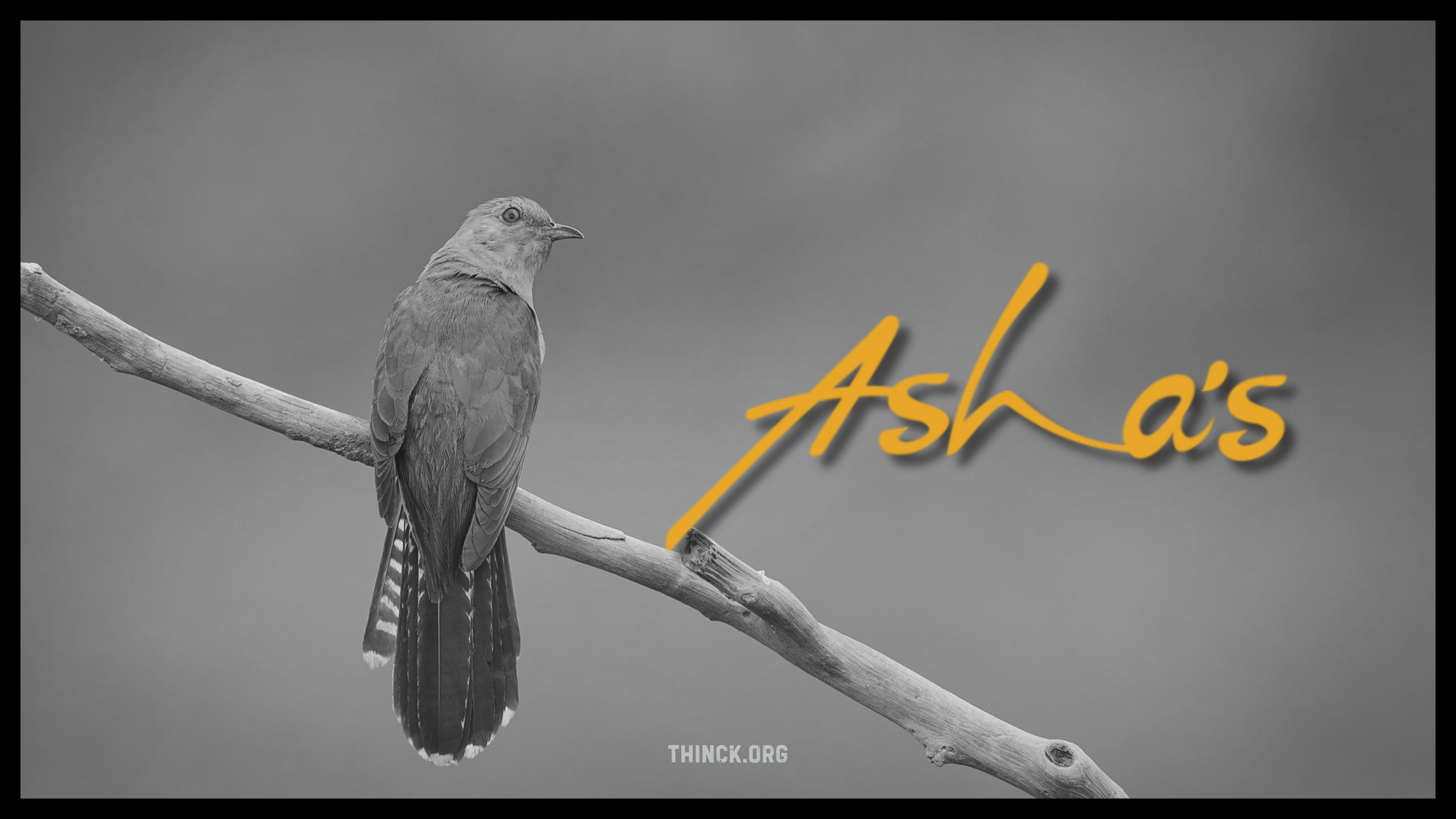 ഭാരതീയ സംഗീതത്തിന്റെ അനശ്വര നാദം ആശാ ഭോസ്‌ലെ വിടവാങ്ങി : എട്ടു പതിറ്റാണ്ട് നീണ്ട സപര്യക്ക് വിരാമം : ആലാപന വൈവിധ്യത്തിലൂടെ ലോകത്തെ വിസ്മയിപ്പിച്ച ഗായികയ്ക്ക് സംഗീത ലോകം കണ്ണീരോടെ വിടചൊല്ലുന്നു ...