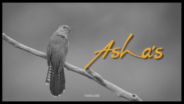 ഭാരതീയ സംഗീതത്തിന്റെ അനശ്വര നാദം ആശാ ഭോസ്‌ലെ വിടവാങ്ങി : എട്ടു പതിറ്റാണ്ട് നീണ്ട സപര്യക്ക് വിരാമം : ആലാപന വൈവിധ്യത്തിലൂടെ ലോകത്തെ വിസ്മയിപ്പിച്ച ഗായികയ്ക്ക് സംഗീത ലോകം കണ്ണീരോടെ വിടചൊല്ലുന്നു ...