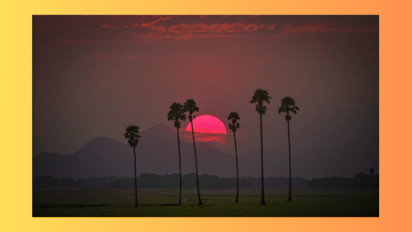 തൃശൂർക്കാരൻ : പാലക്കാടിലൂടെ ഒരു തെരഞ്ഞെടുപ്പ് യാത്ര