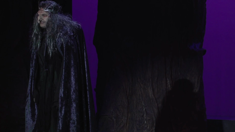 Into The Woods Brillion High School thumbnail