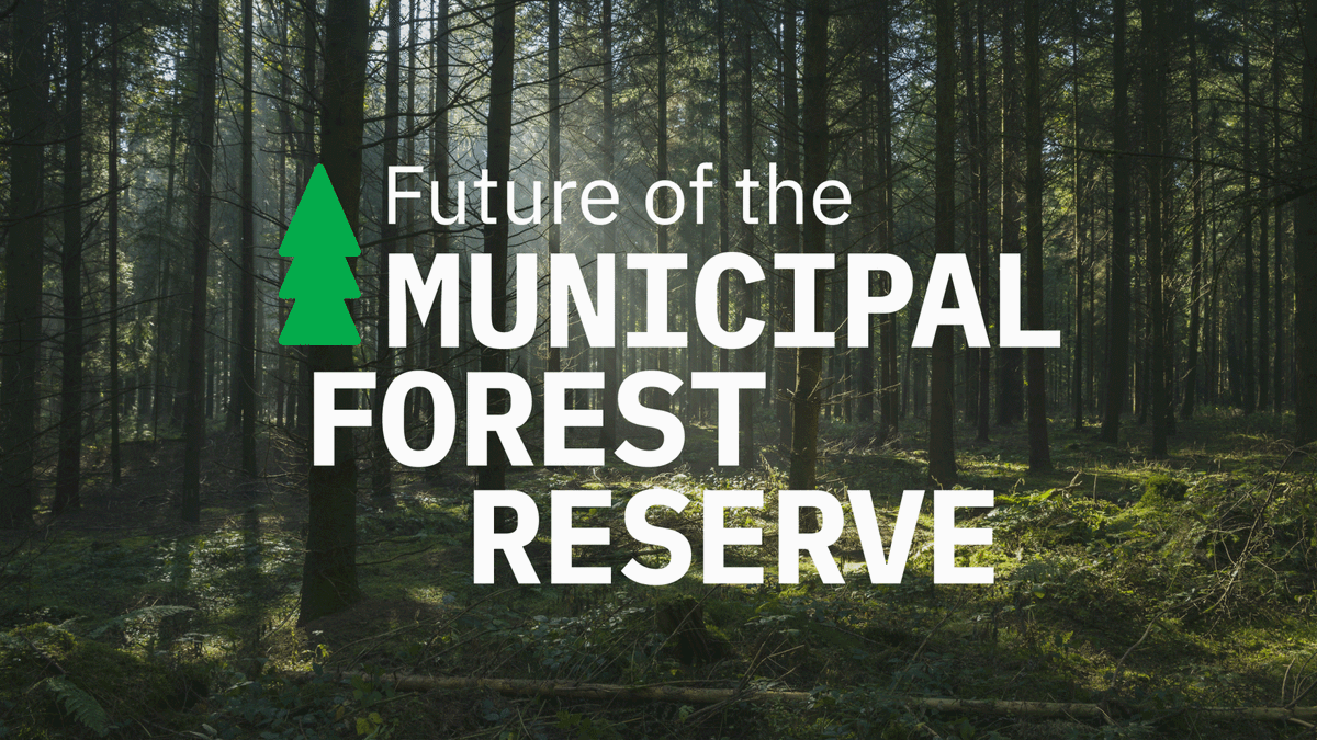 Municipal Forest Reserve variable identity