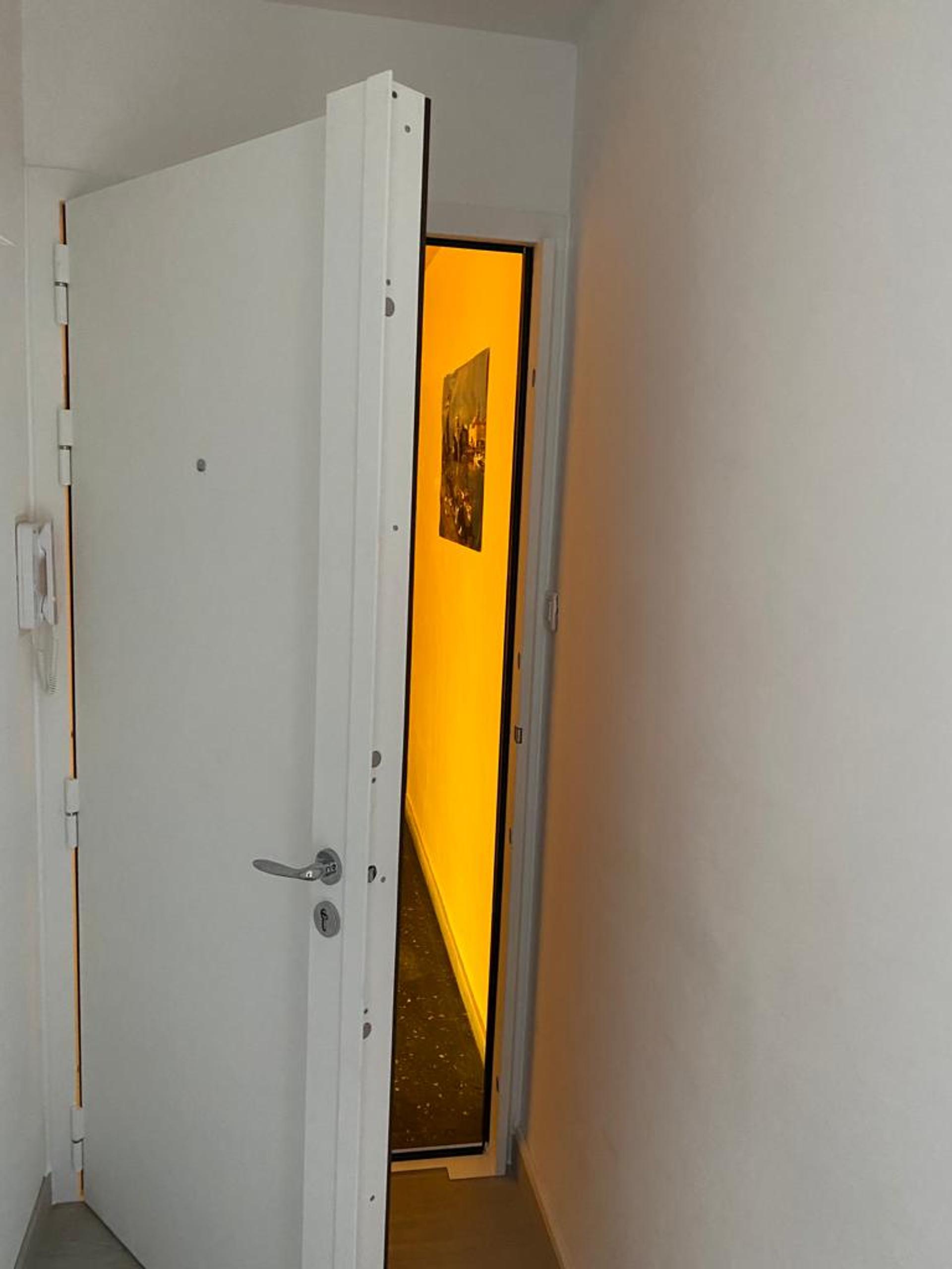 PORTE BLINDÉE miniature 12