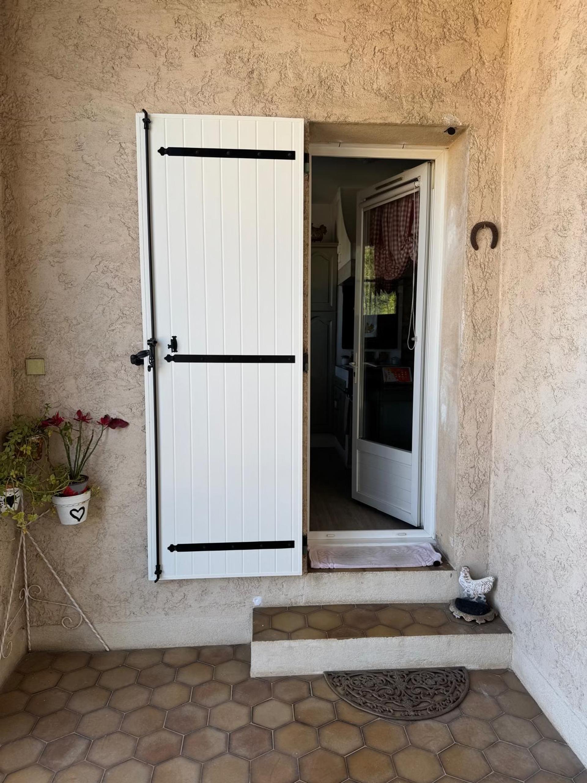 PORTE D'ENTRÉE PVC ASARINE miniature 3