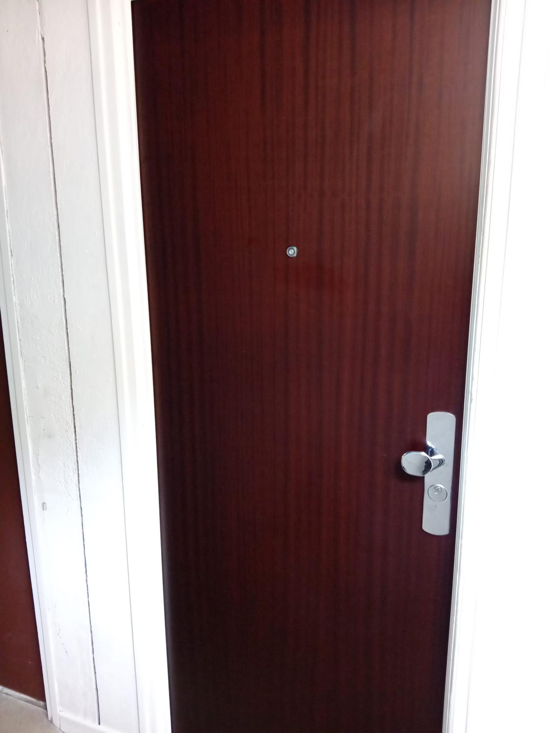 PORTE BLINDÉE miniature 3