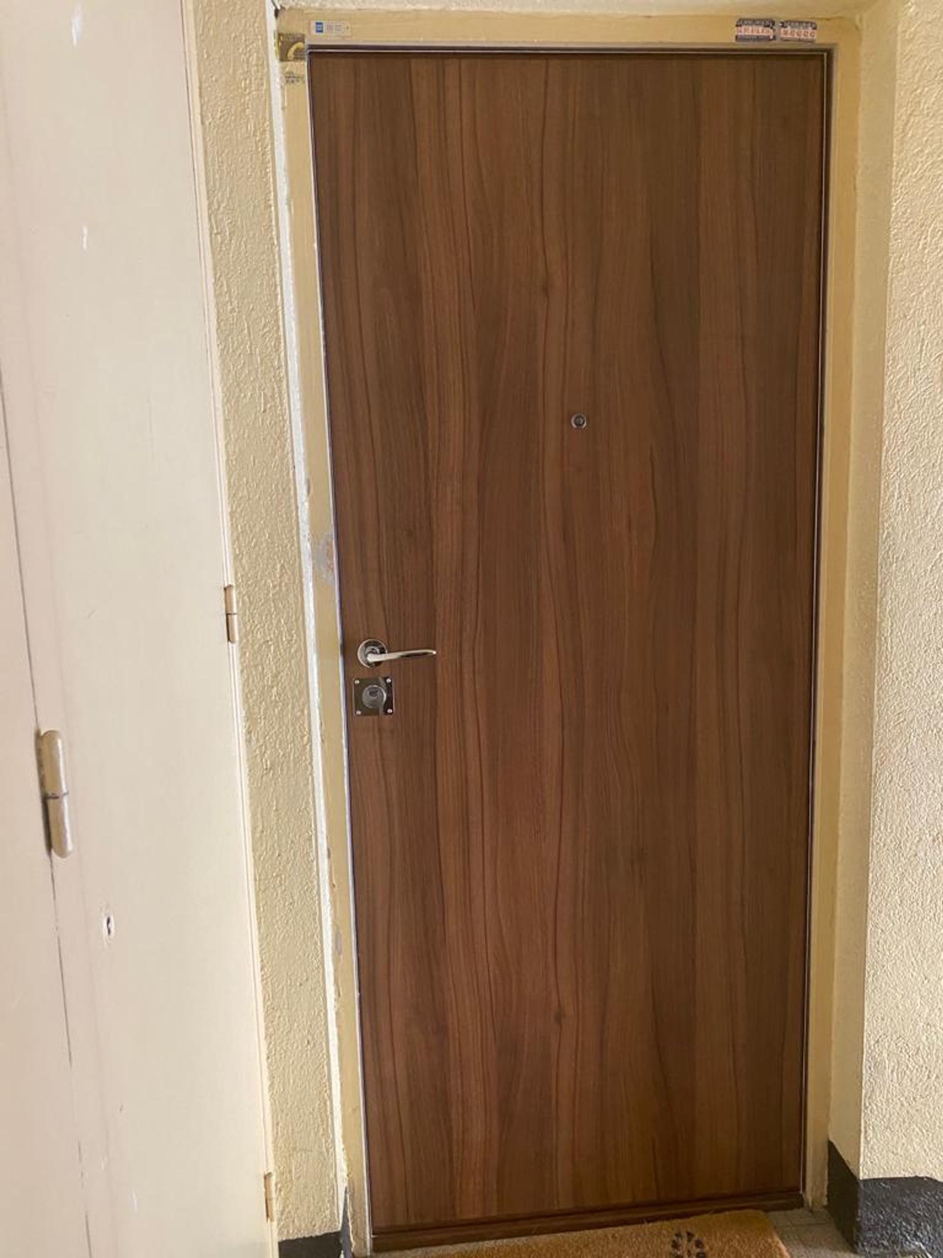 PORTE BLINDÉE miniature 3