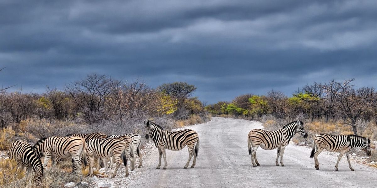 Why Travel to Namibia?