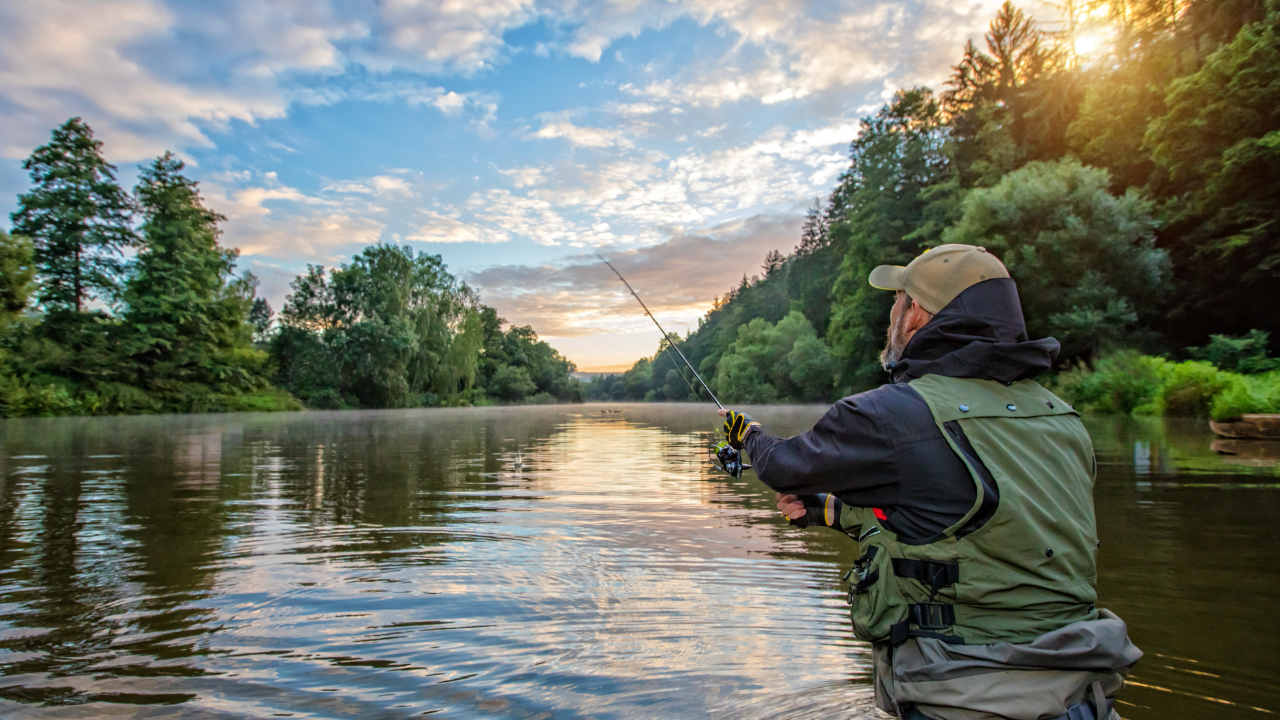 What Kind Of Show Is The Hook? - What Does It Mean To Wild Caught?