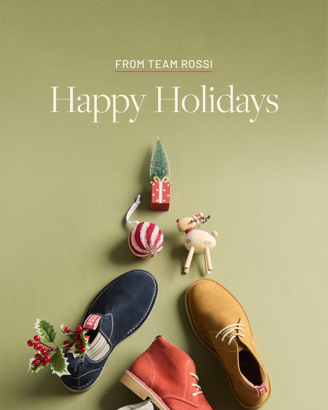 Happy Holidays

From Team Rossi