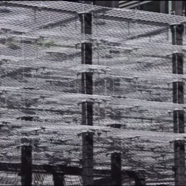 The Chinchilla boot is crafted specifica...
#RossiBoots