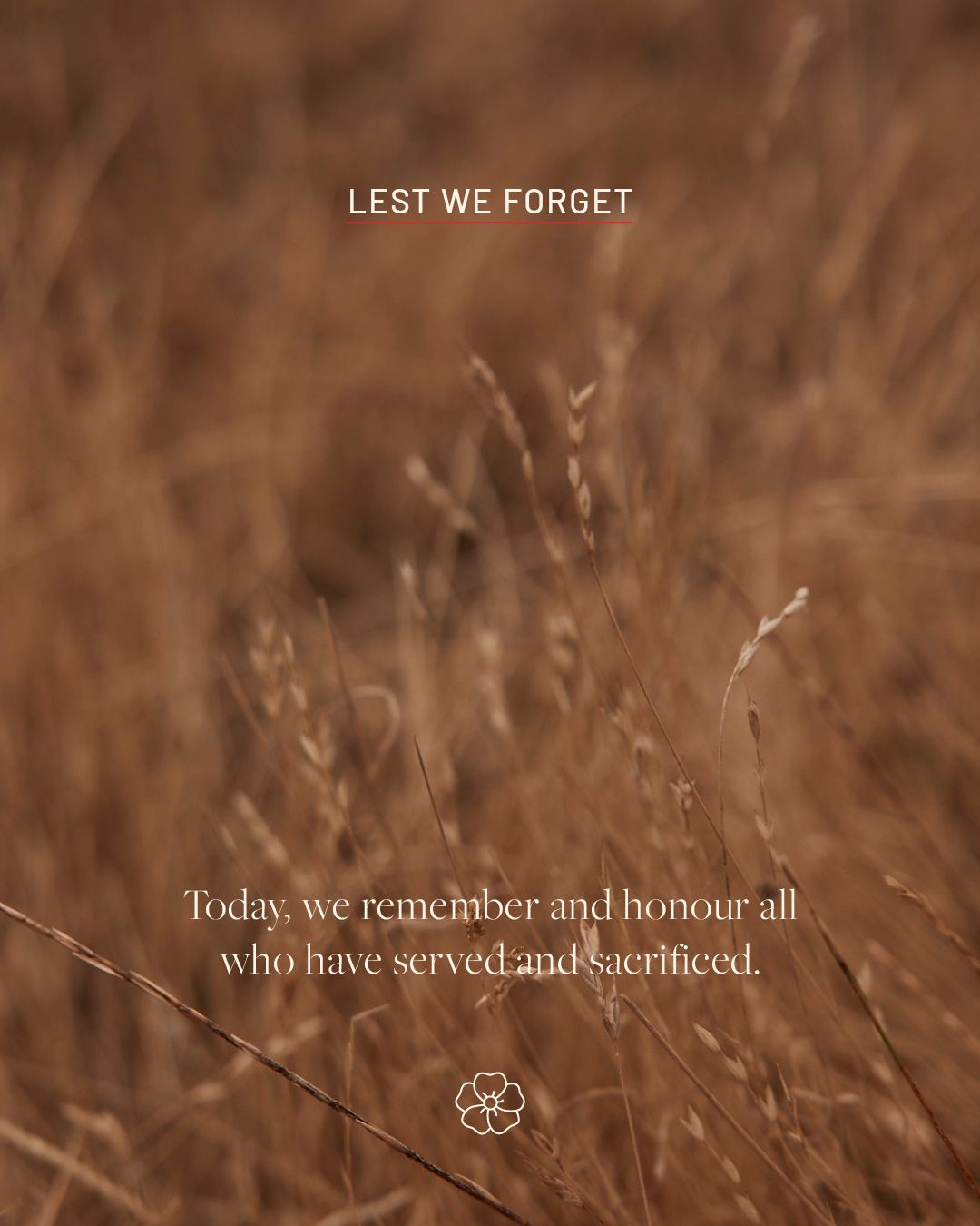 Lest we forget.
25.04