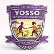 YSF Logo