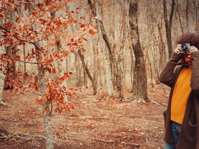 Navigating Change in Complex Systems