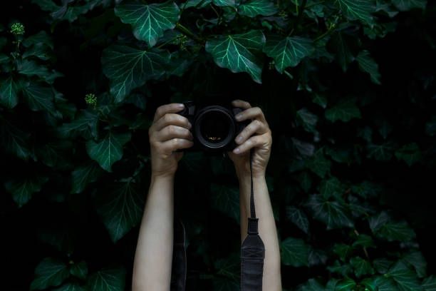 Exploring the Hidden Patterns of Innovation