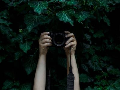 Exploring the Hidden Patterns of Innovation