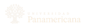Universidad Panamericana