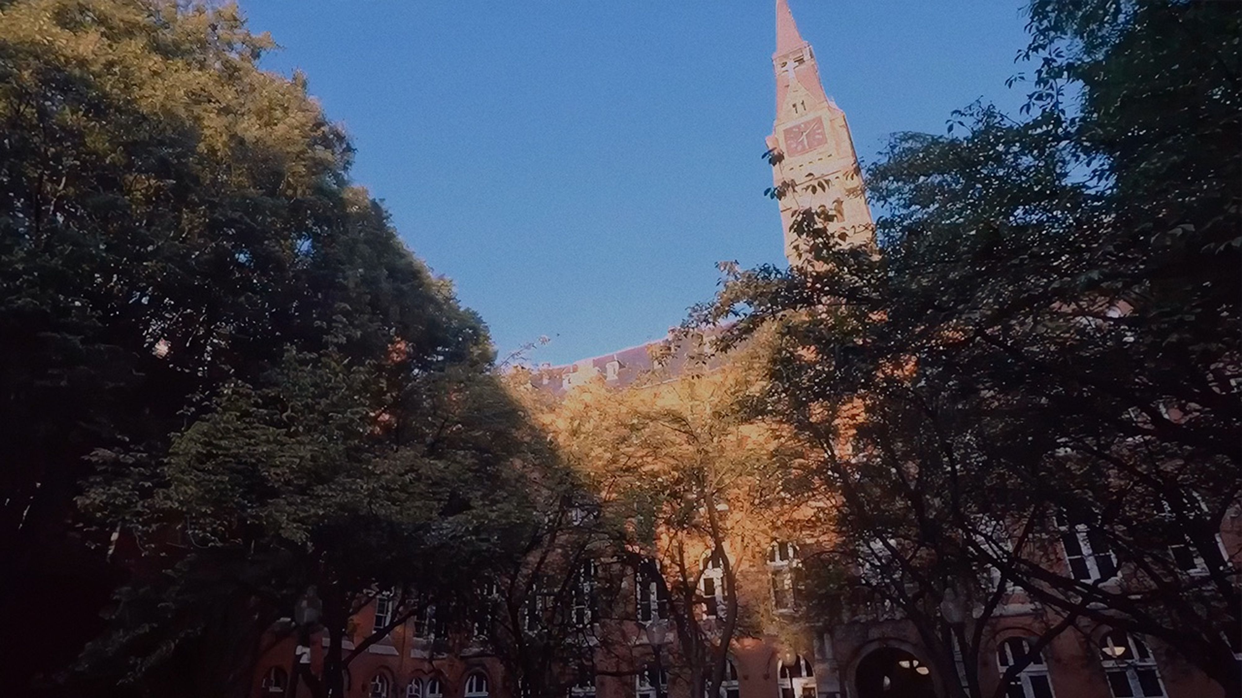 Collaborator Video Thumbnail