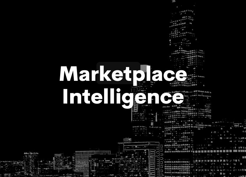 Marketplace-Intelligence-Data-Sheet-1200-×-600-px.png