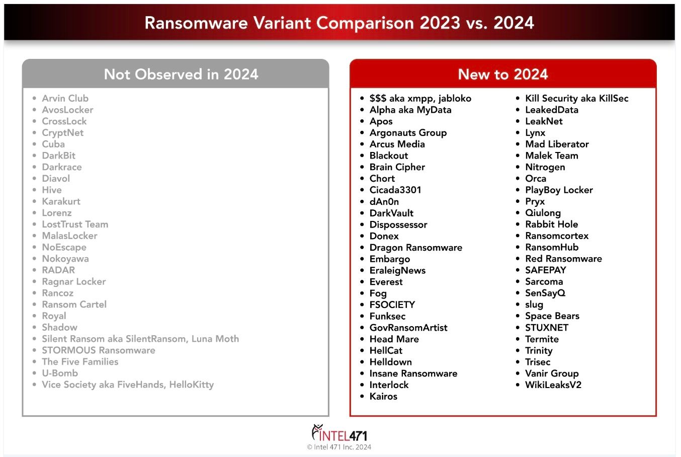The image depicts new ransomware variants observed and variants not observed in 2024.