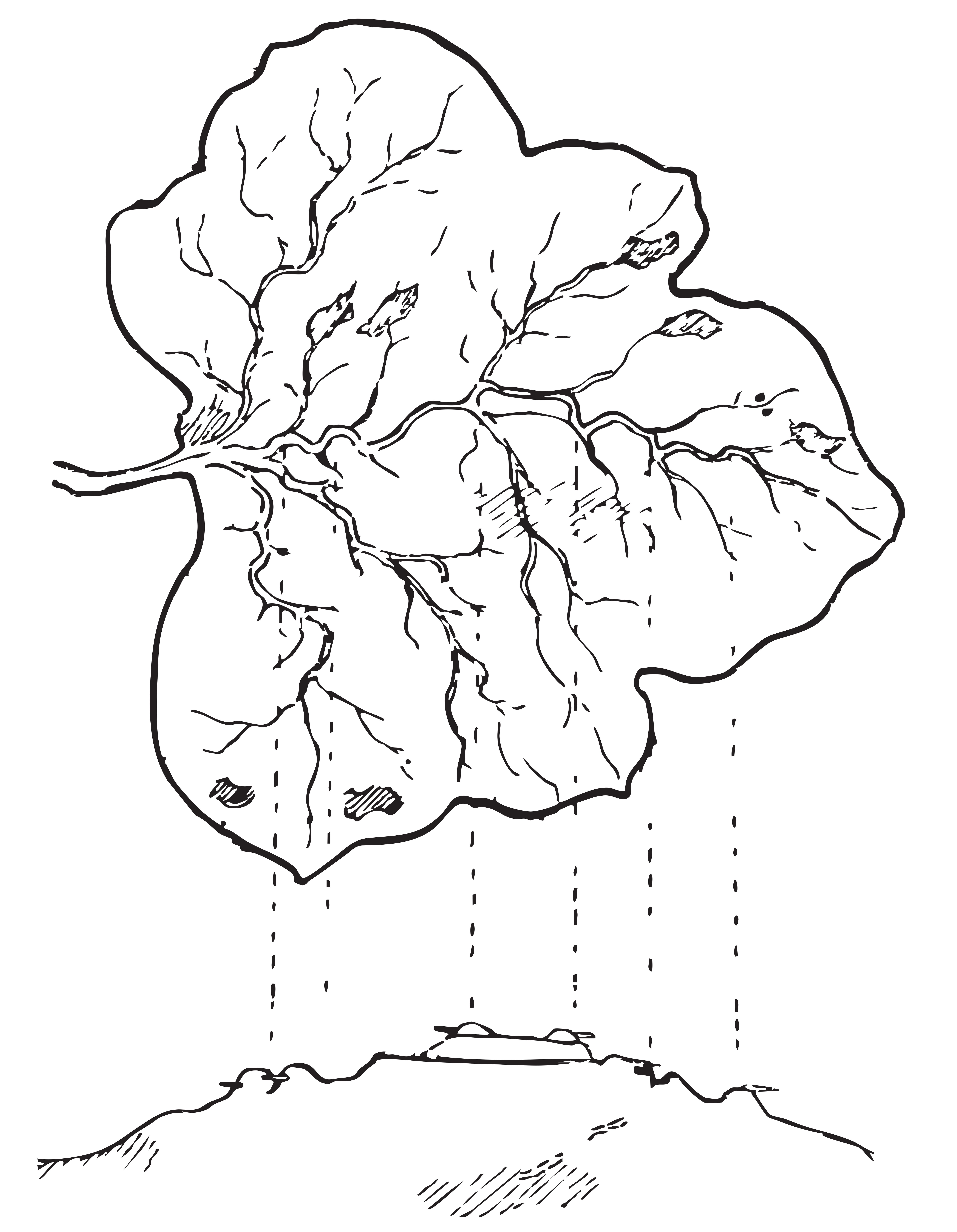 Baden-Powell's hand-drawn Leaf Map with hidden fortress