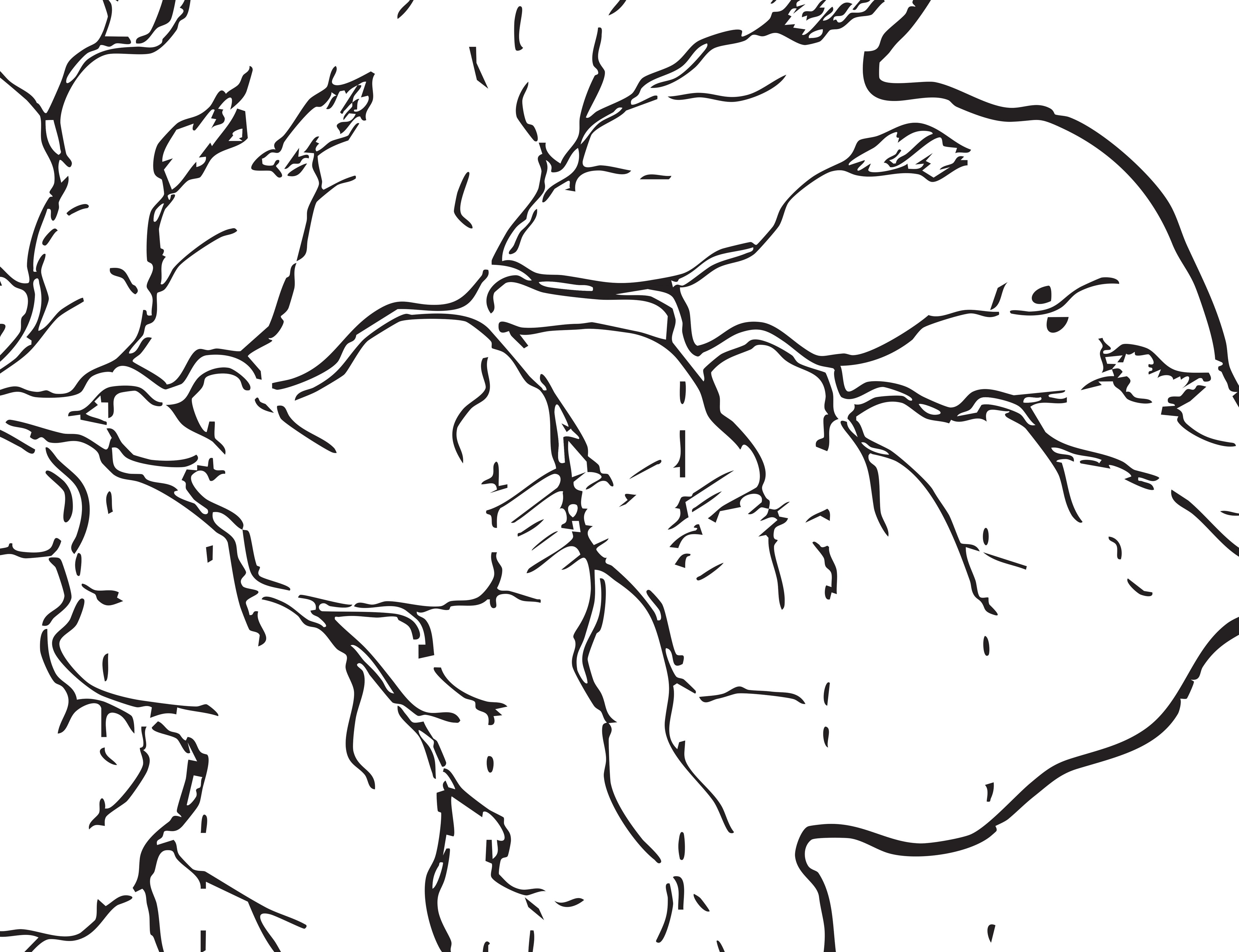 Dwayne Fields and Caroline Pantling