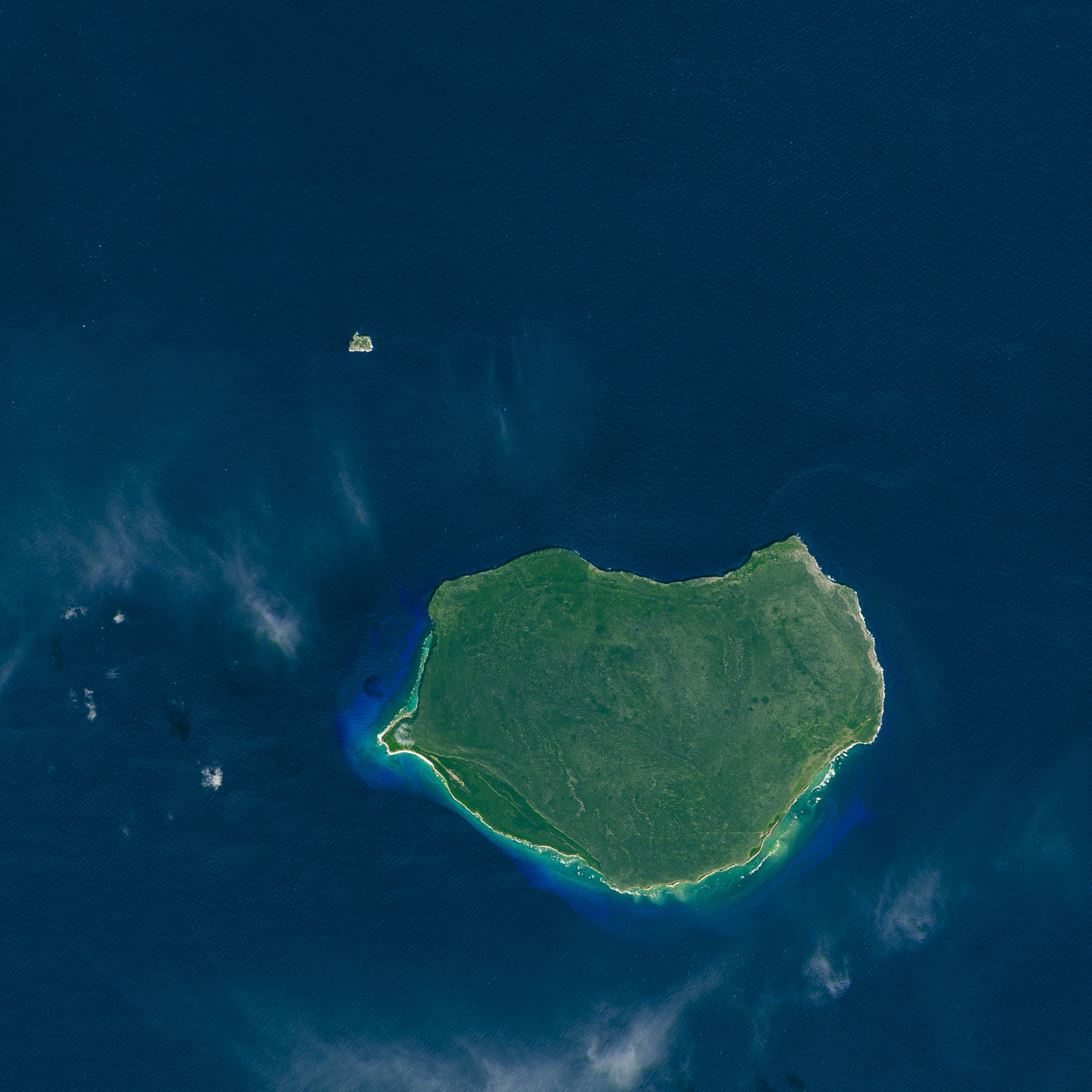 Satellite image of Isla de Mona taken by the Operational Land Imager (OLI). The island is a lush green and surrounded by a deep blue sea.