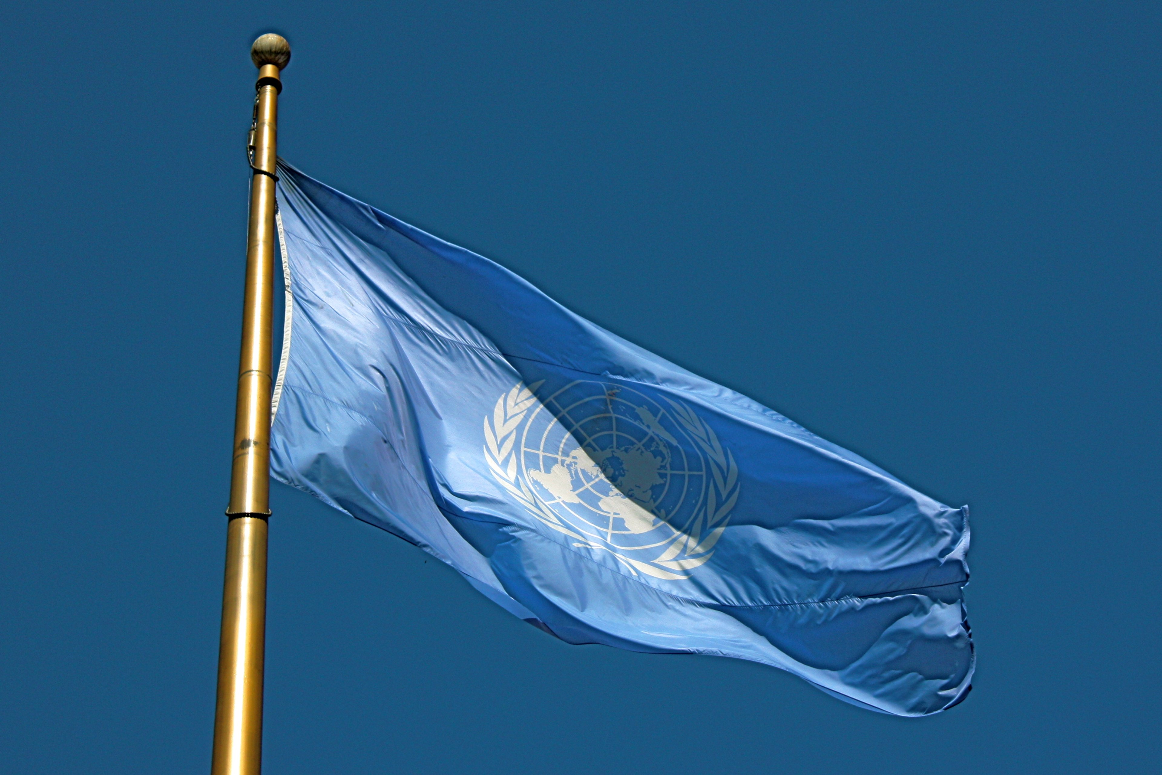 Photograph of the Flag of the United Nations flying and rippling in the breeze.
