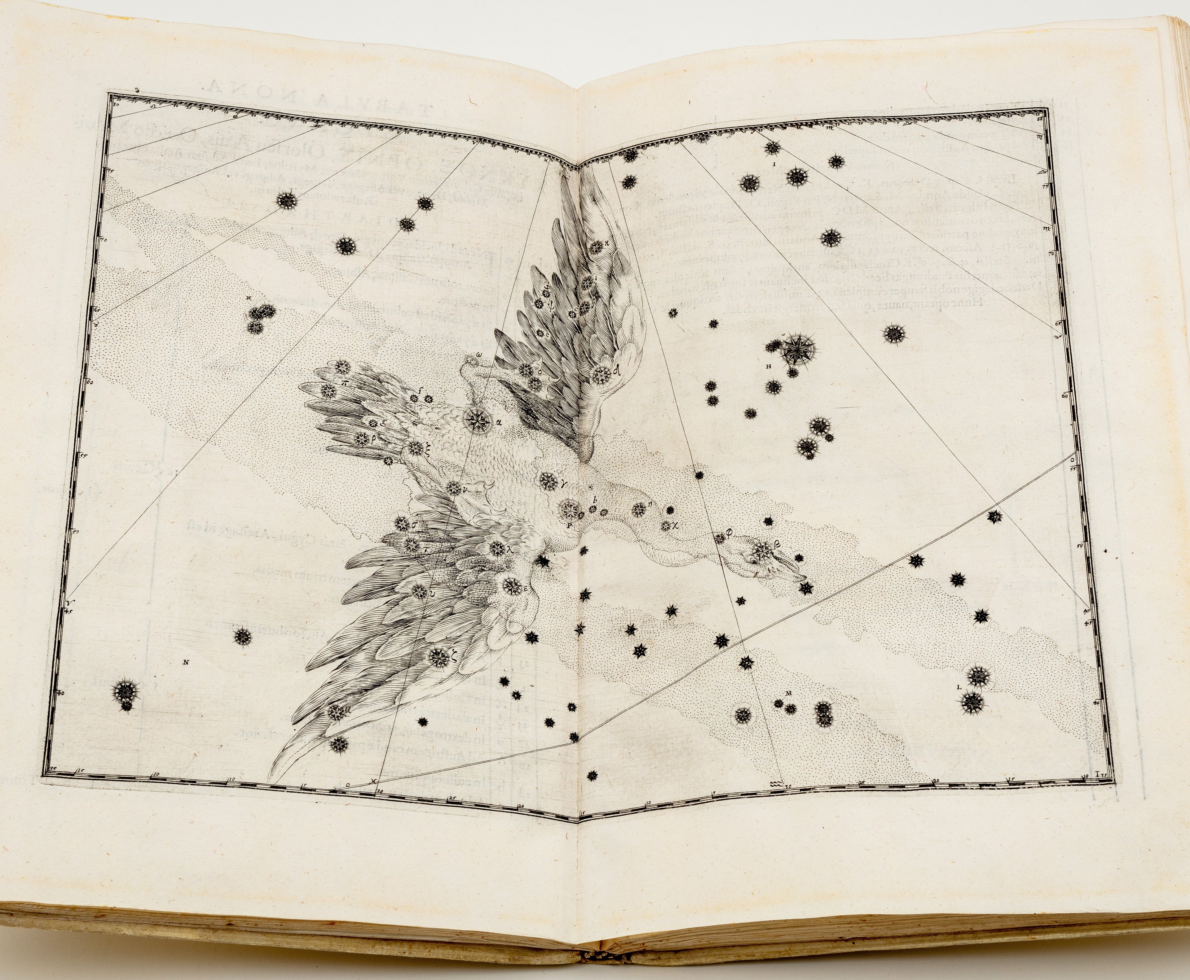 Constellation of Signus the Swan from Bayer Star Chart Atlas