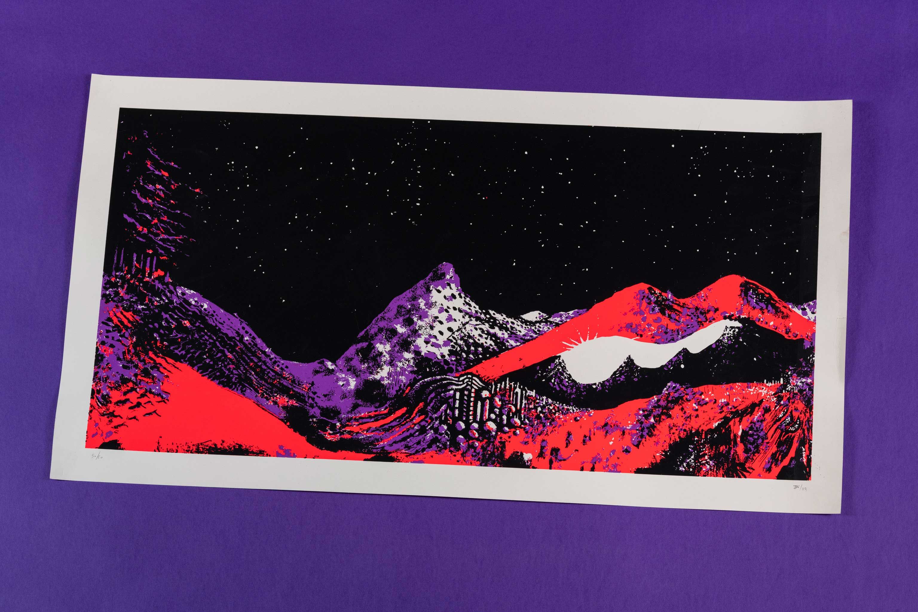 Spacin' Landscape Poster