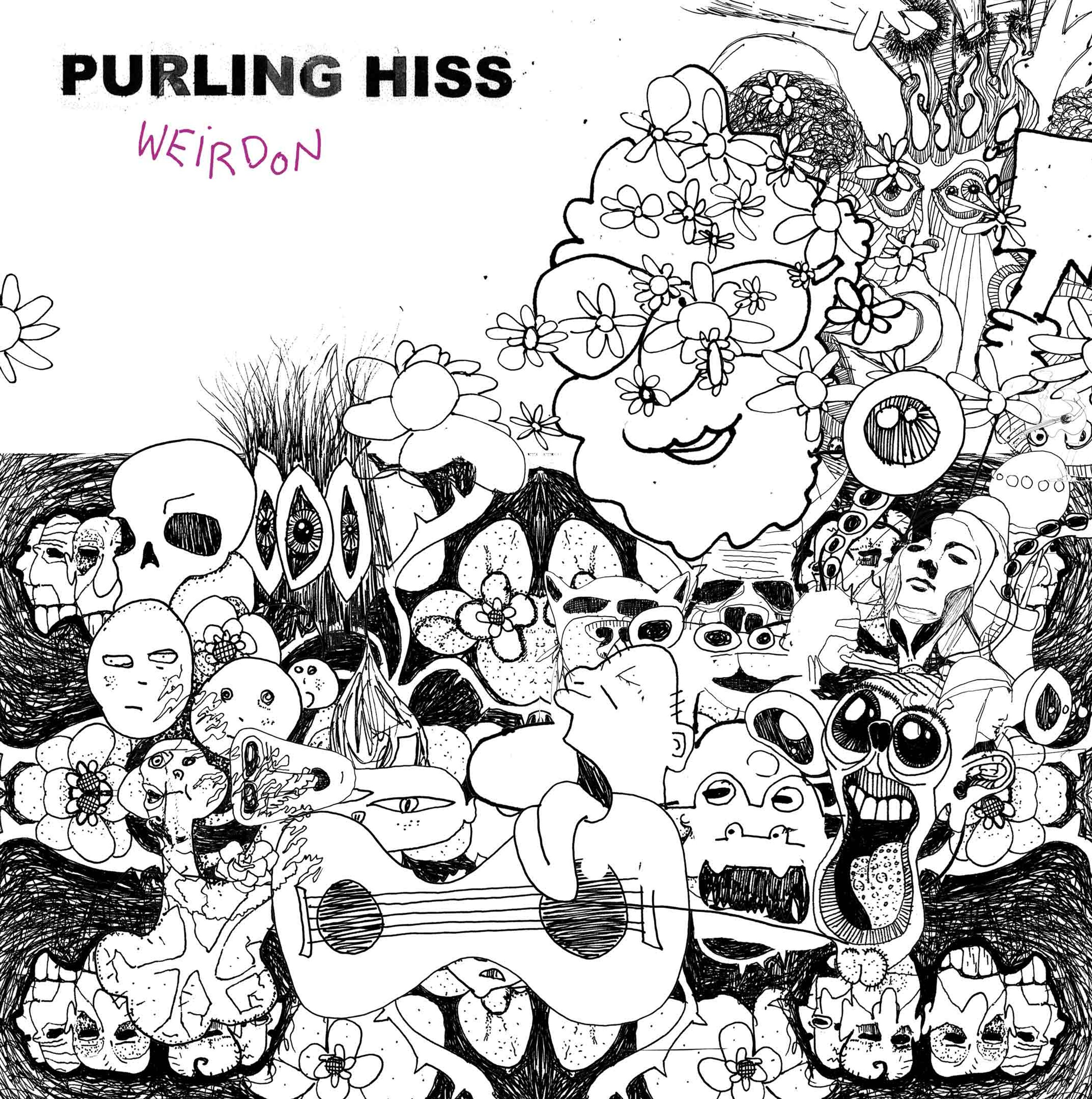 Purling Hiss - Wierdon album cover