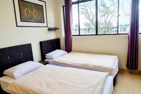 Pine Lodge deluxe twin room with city view