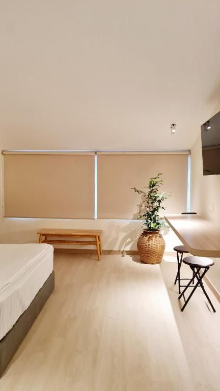 Kazuki bedroom with plant