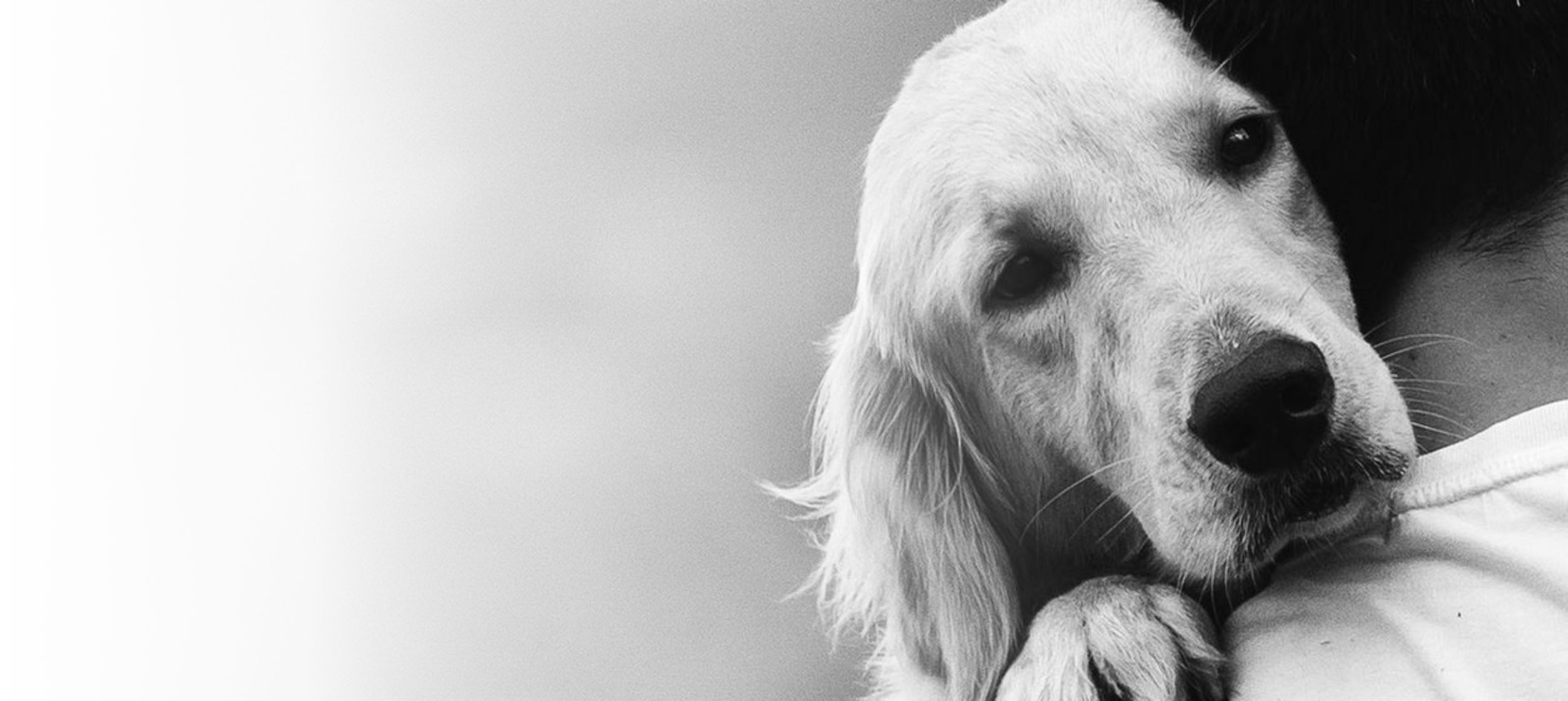 Emergency and walk-ins welcome during clinic hours.