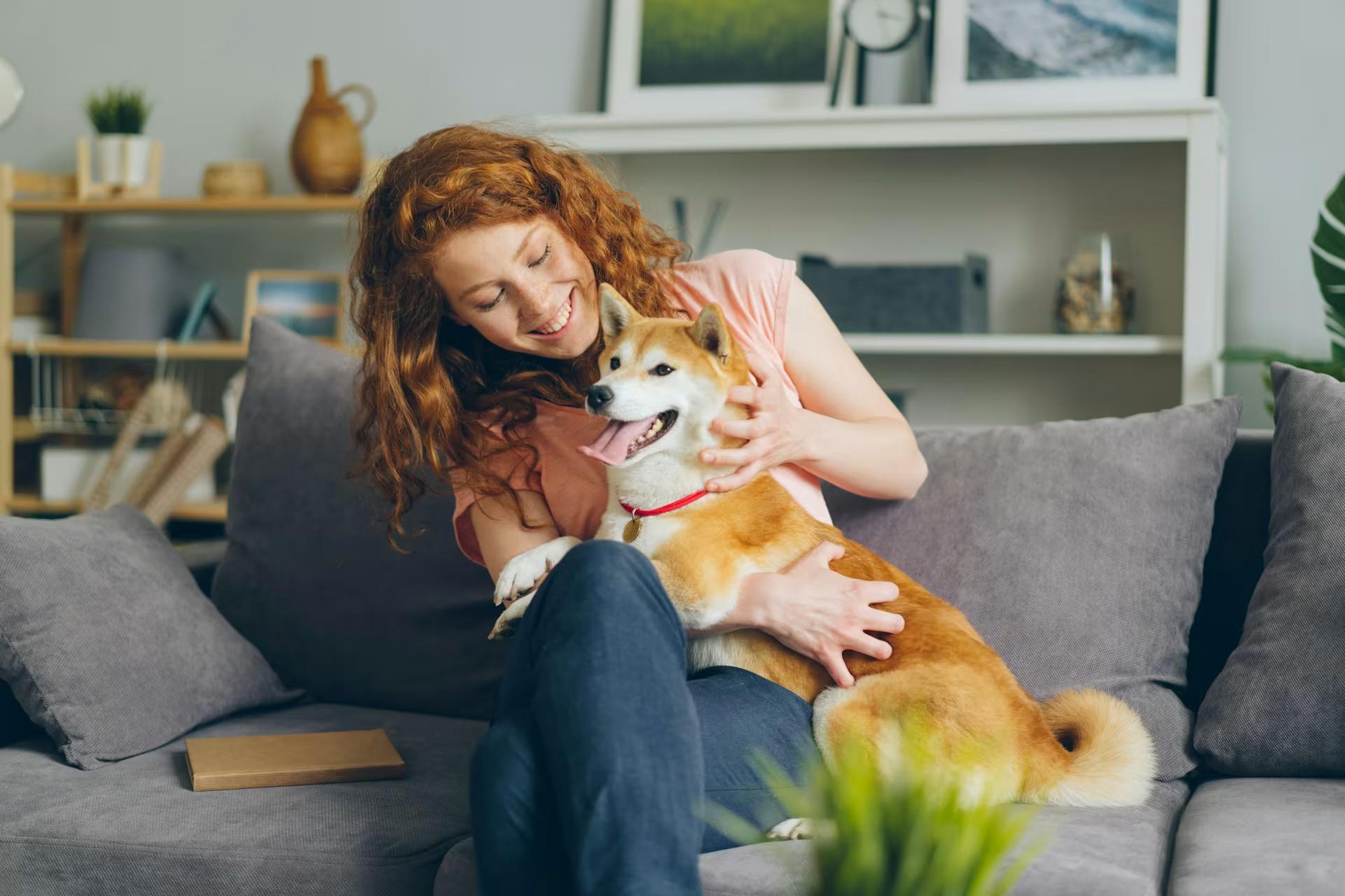 Pet Insurance: The Best Way to Keep Your Pet Safe and Healthy
