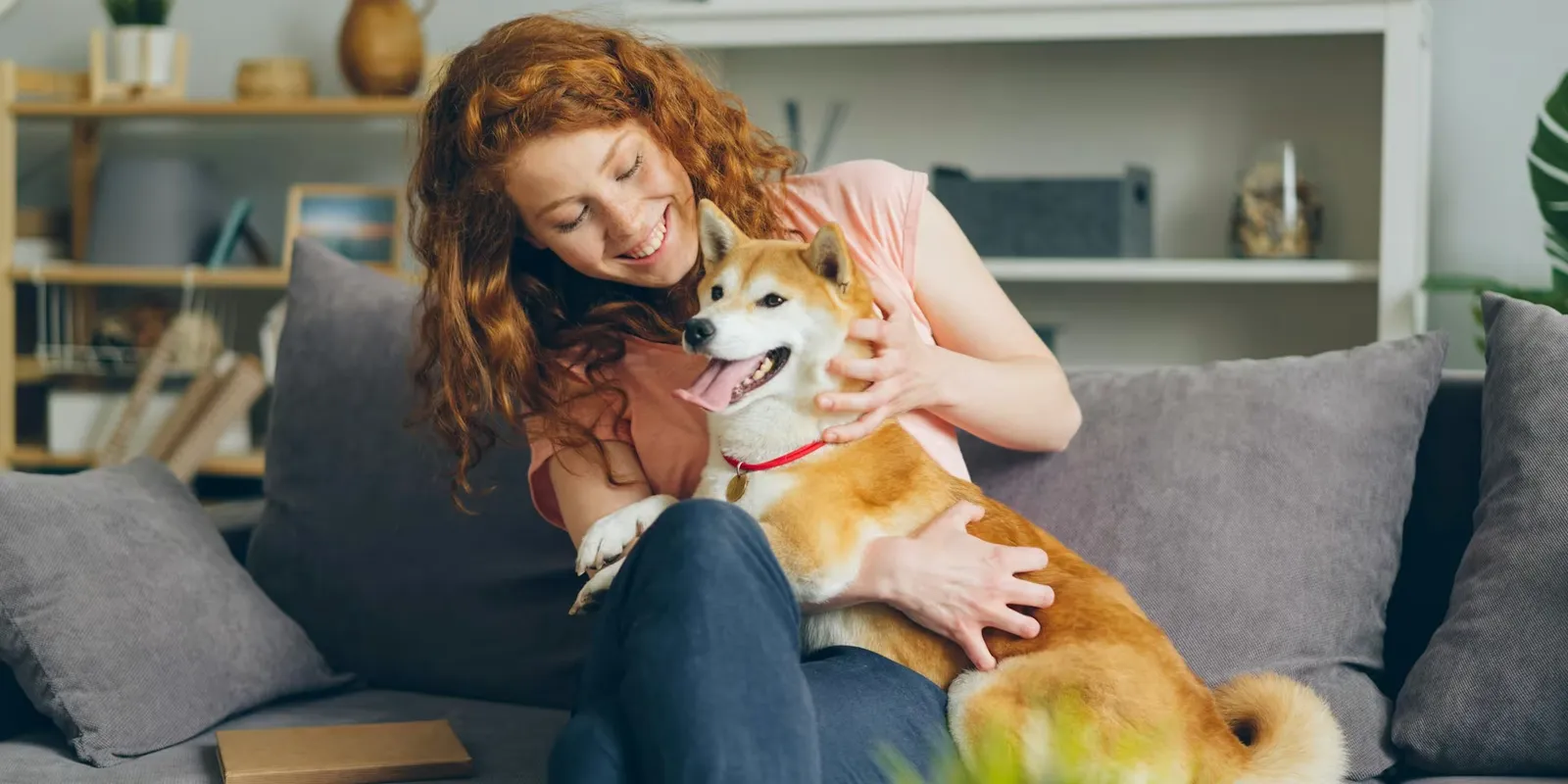 Pet Insurance: The Best Way to Keep Your Pet Safe and Healthy