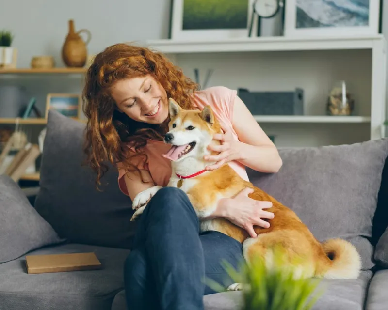 Pet Insurance: The Best Way to Keep Your Pet Safe and Healthy