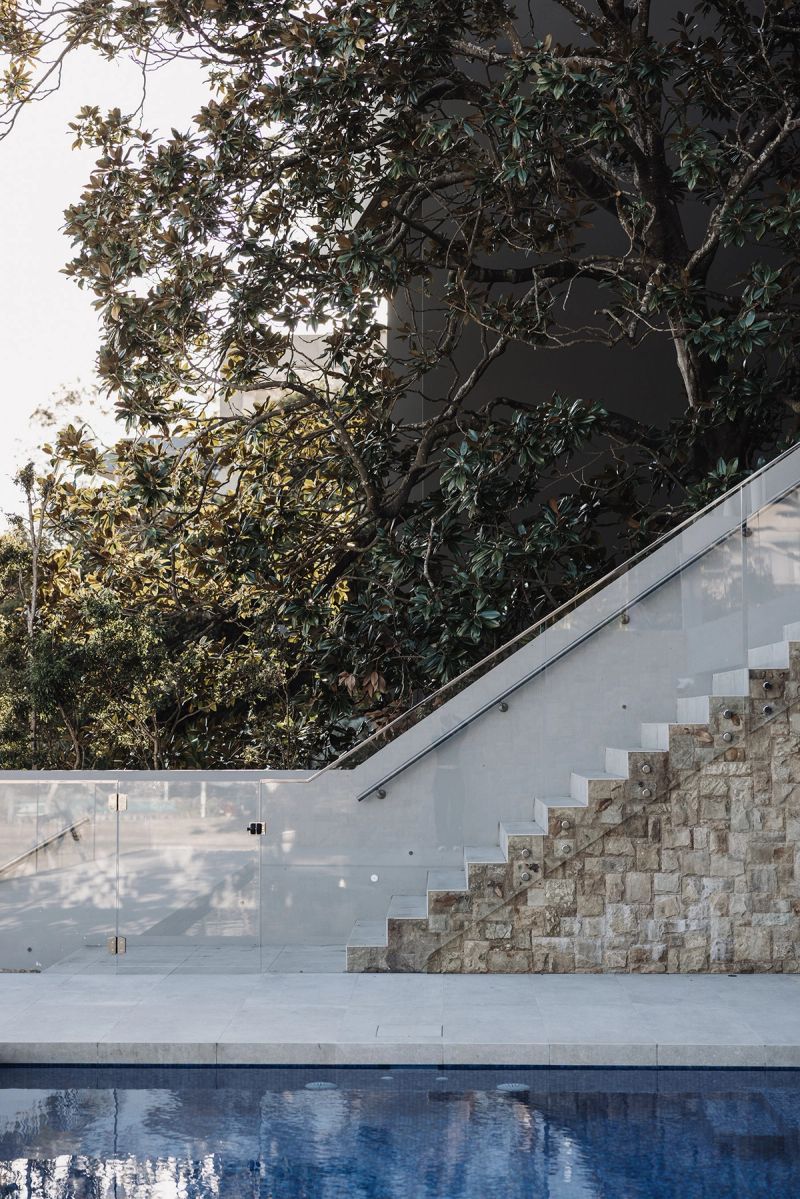 Sandstone stair and glass balustrade beside the pool, under a fig tree